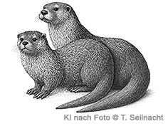 Bild vergr&ouml;&szlig;ern!