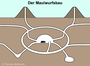 Bild vergrößern!