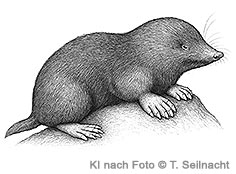 Bild vergr&ouml;&szlig;ern!