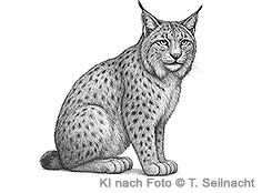 Bild vergr&ouml;&szlig;ern!