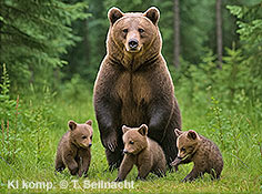 Bild vergr&ouml;&szlig;ern!