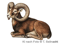 Bild vergr&ouml;&szlig;ern!