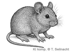 Bild vergr&ouml;&szlig;ern!