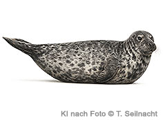 Bild vergr&ouml;&szlig;ern!