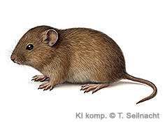 Bild vergr&ouml;&szlig;ern!