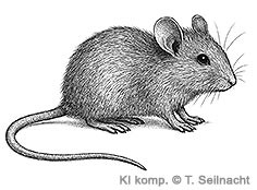 Bild vergr&ouml;&szlig;ern!