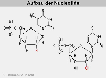 Bild vergrößern!