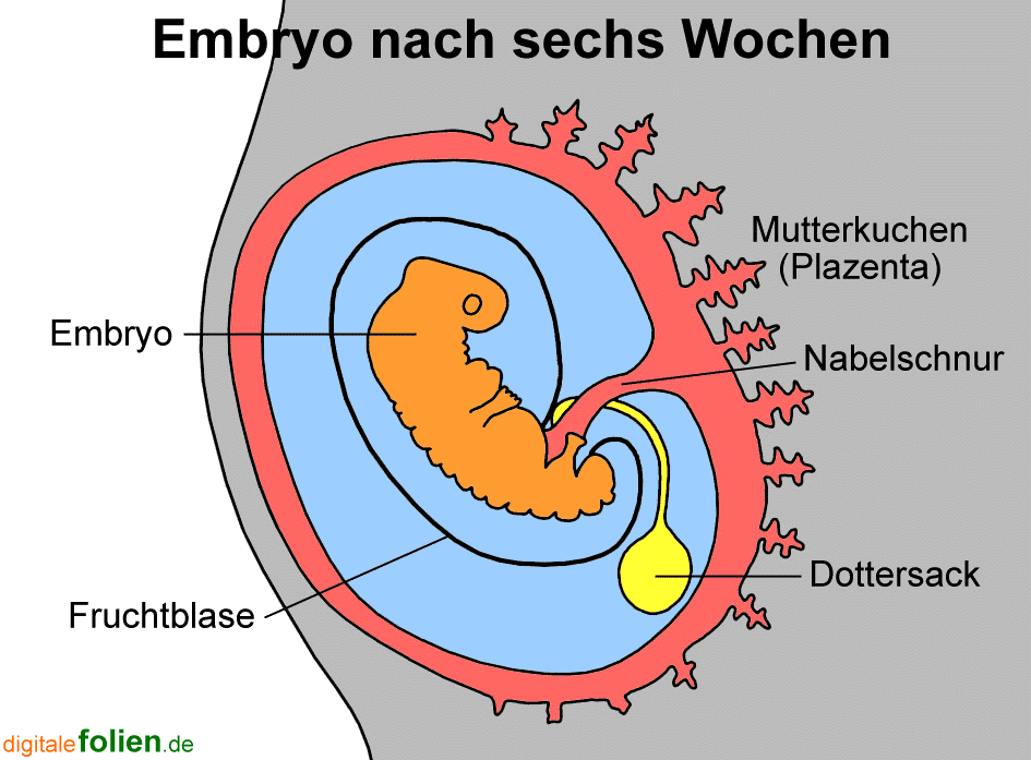 Fenster schlieen!