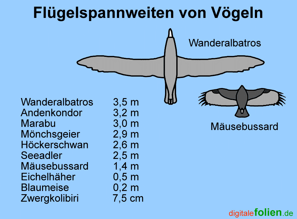 Fenster schlieen!