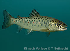 Bild vergr&ouml;&szlig;ern!