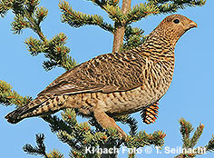 Bild vergr&ouml;&szlig;ern!