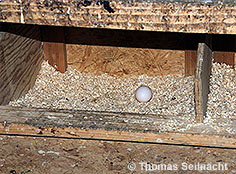 Bild vergr&ouml;&szlig;ern!