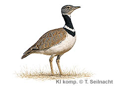 Bild vergrößern!